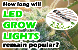 How long will LED grow lights remain popular?