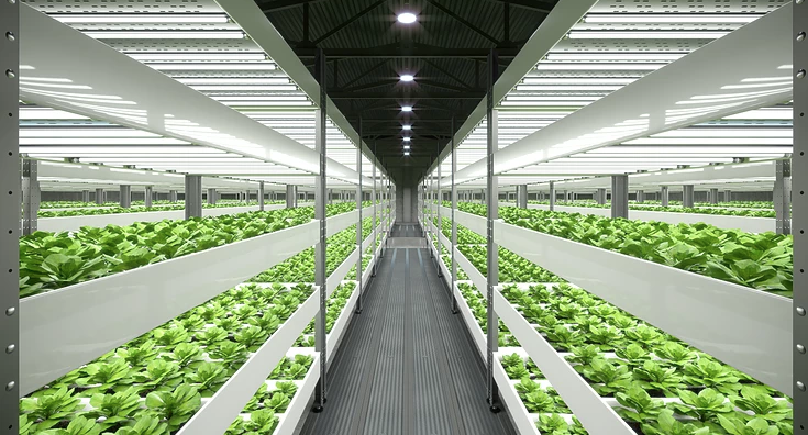 What is Vertical farming？