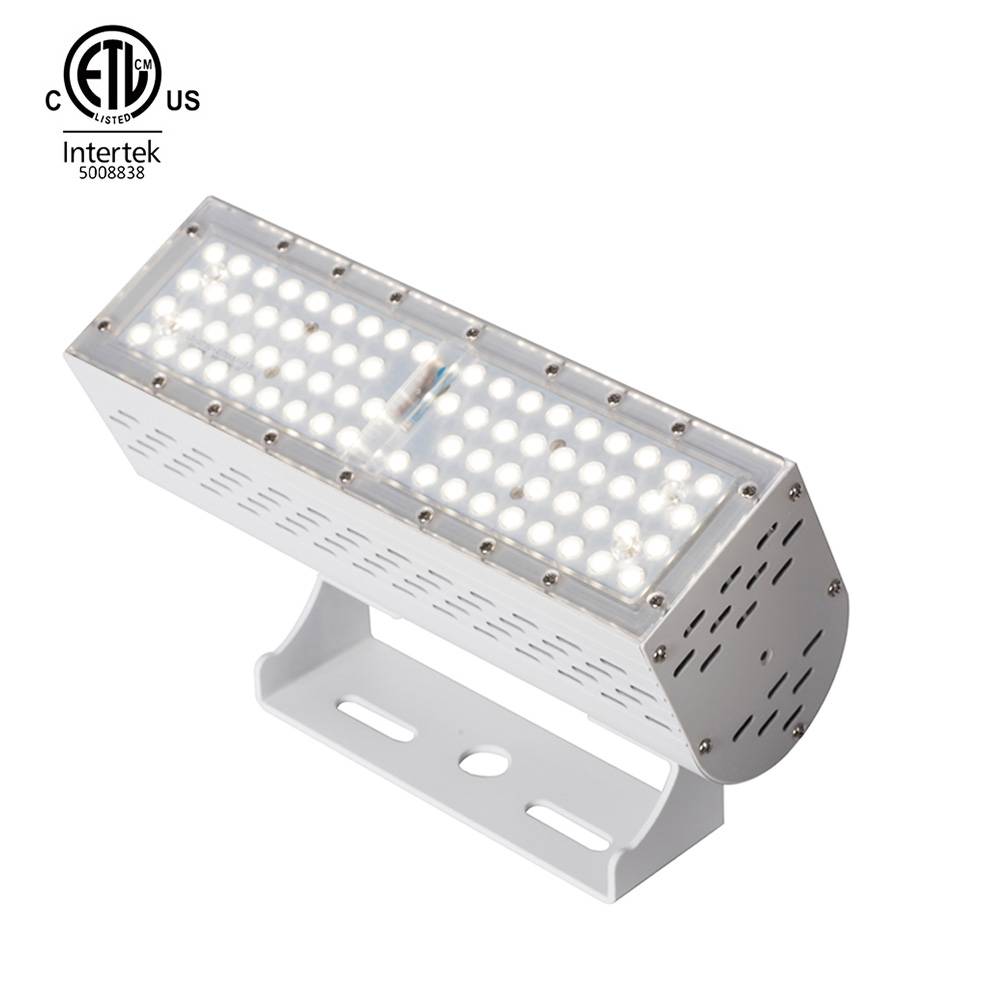 UL ETL CE Certificated IP67 50W LED Flood Light 