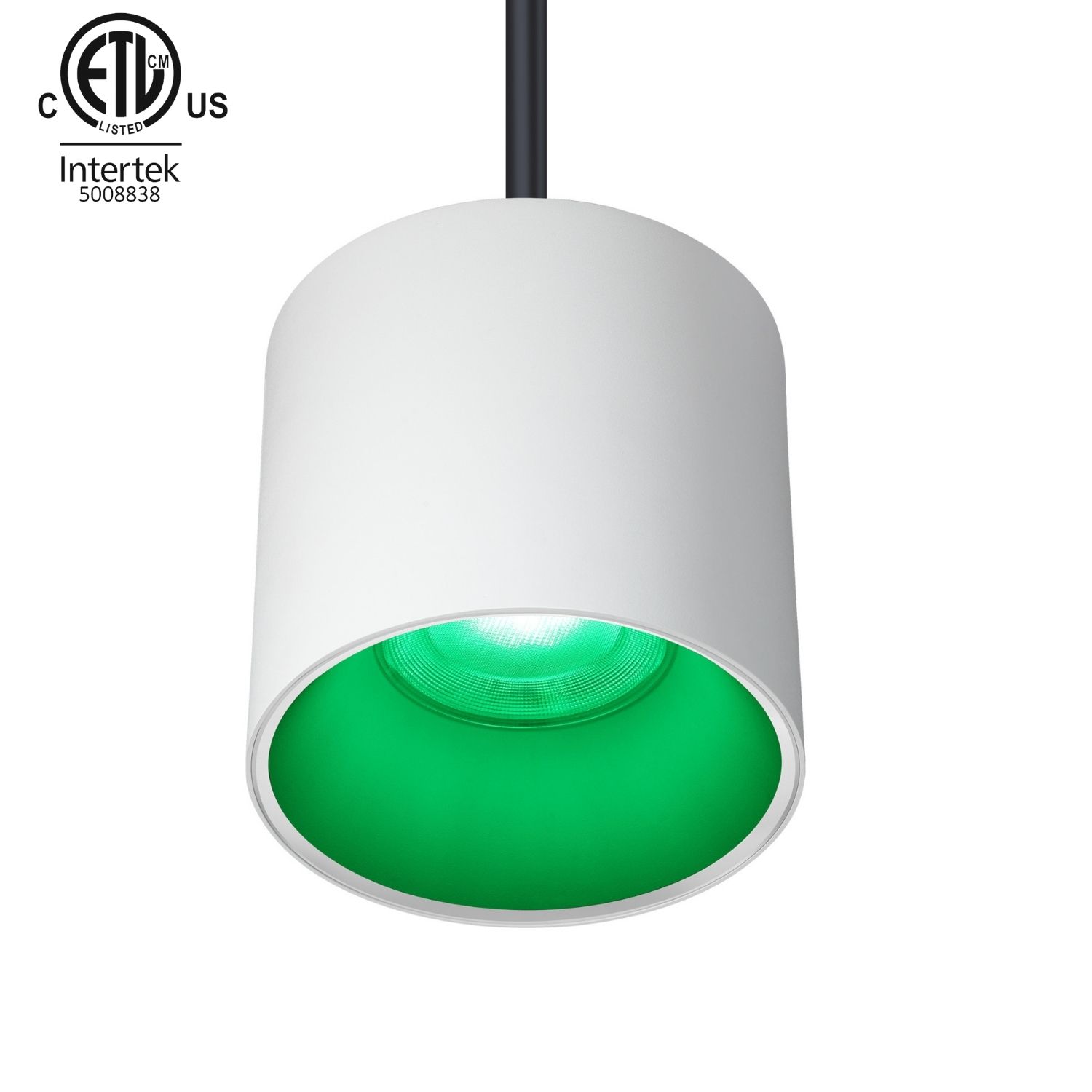 50W ETL Listed Pendant RGBW LED House Downlight