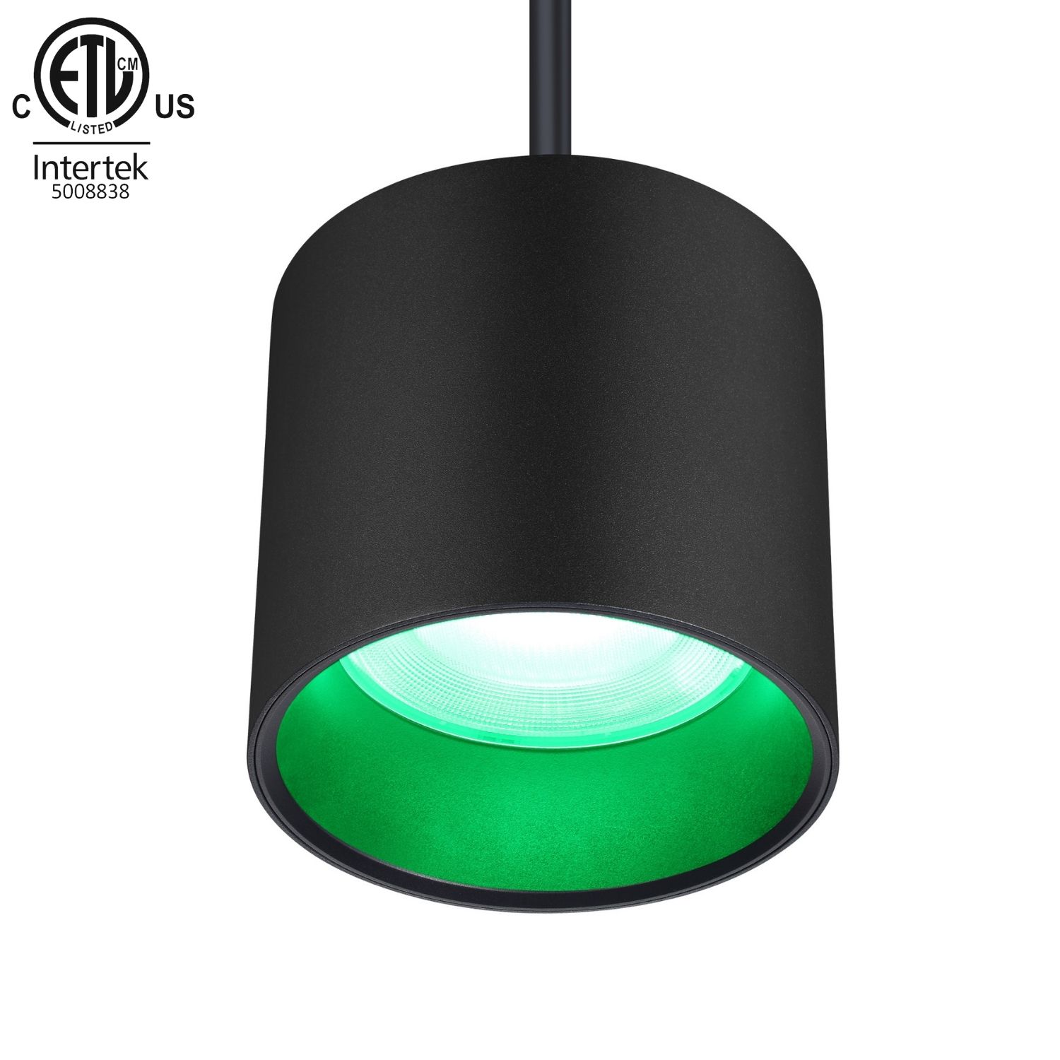30W ETL Listed Pendant RGBW LED Downlight